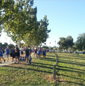 Cross country runners step on Elk Grove turf before dominating in the Sept 10 meet. 