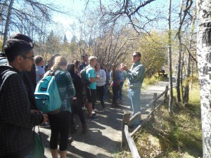 Environmental science teacher Eric Bastin explains to his students the current happenings of Taylor Creek and its salmon inhabitants on their way to the viewing area. The creek was a short walk away from the wilderness pictured above. 