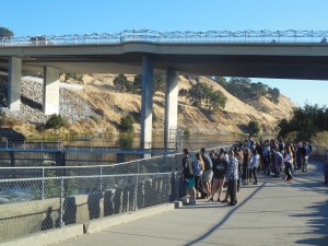 Environmental science students observe Nimbus Dam and its drained fish ladder. Because of the season, not many fish were visible from the viewing platform. 