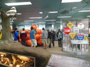 Environmental science students explore the Nimbus Dam visitor center and its many educational exhibits. Because the students saw few fish at the dam, the visitor center proved the main attraction at Nimbus. 