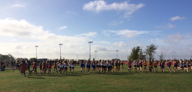 The women's varsity race gets underway at  the Sac-Joaquin Section Championships on Saturday, Nov. 15. Blue Devil junior Fiona O'Keeffe won the race; her third individual title in three years.