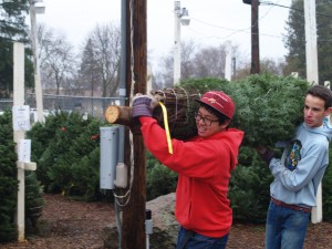 Senior Earth Umnartyutithum and freshman Nicholas Patula carry a tree from the loading truck; the scouts have to carry over a hundred trees from the truck every delivery. 