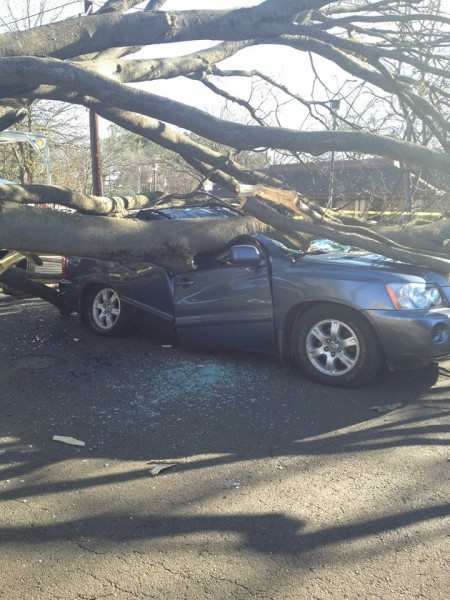 Senior Matthew Meyers was trapped inside his crushed car.