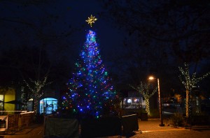 The holiday season brings many local families to the annual Christmas tree lighting ceremony located in the E Street Plaza in downtown Davis.