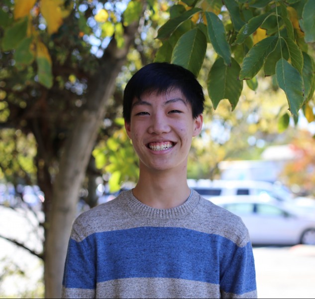 Sophomore Hyojoon Ahn is excited for the upcoming year with Davis High's symphony orchestra.