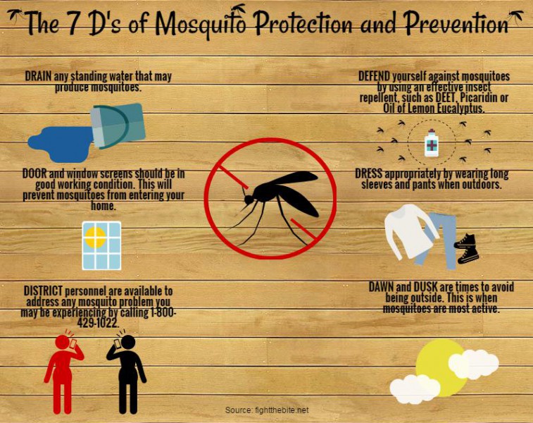 mosquitos