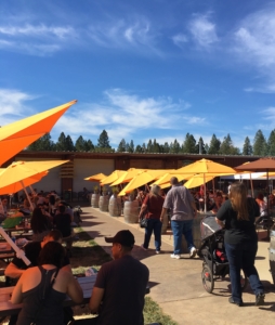 Jack Russell Brewery is a popular lunch stop for many families and friends.