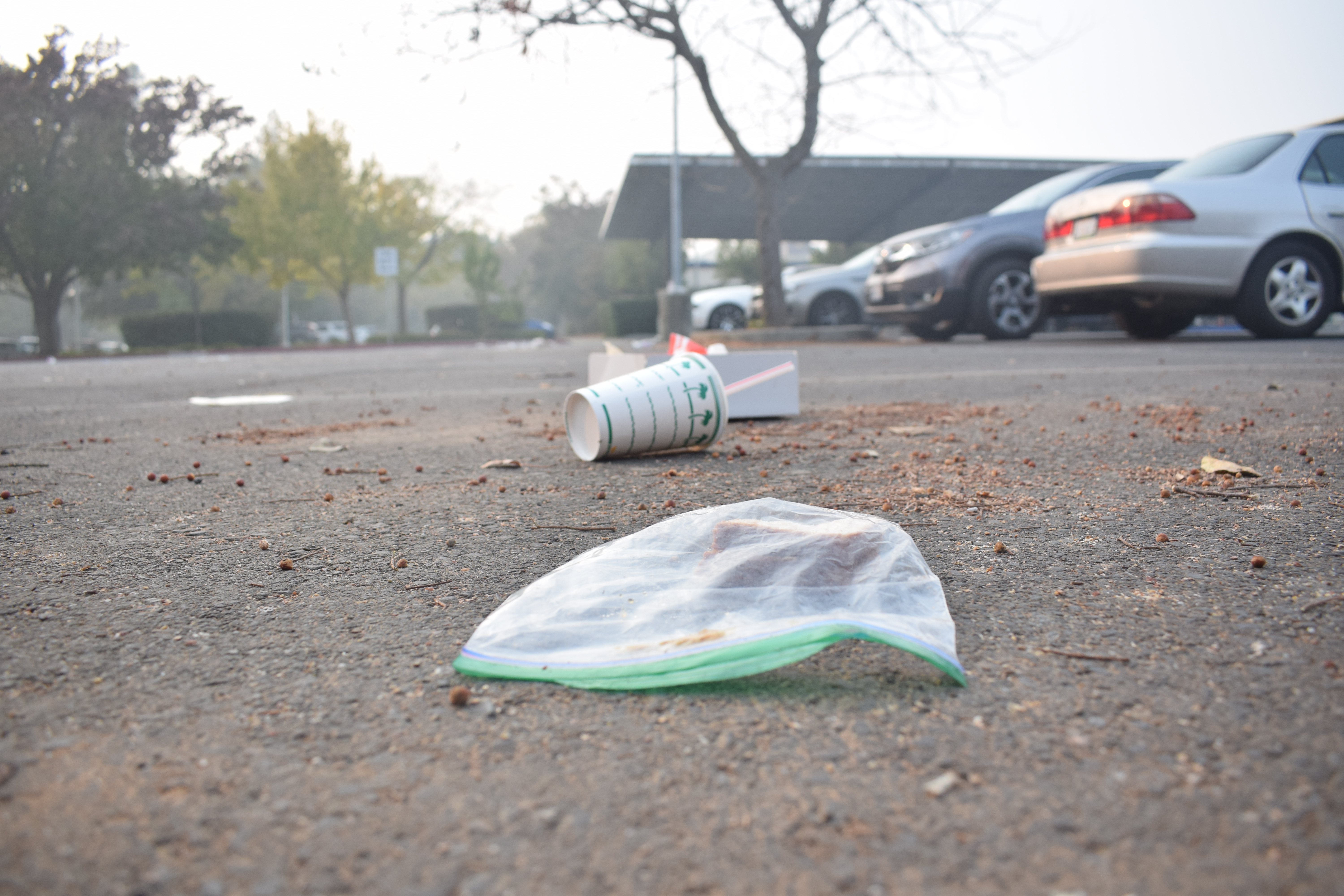 Davis High students must drive over trash such as this half-eaten sandwich in the southmost lane of the parking lot.