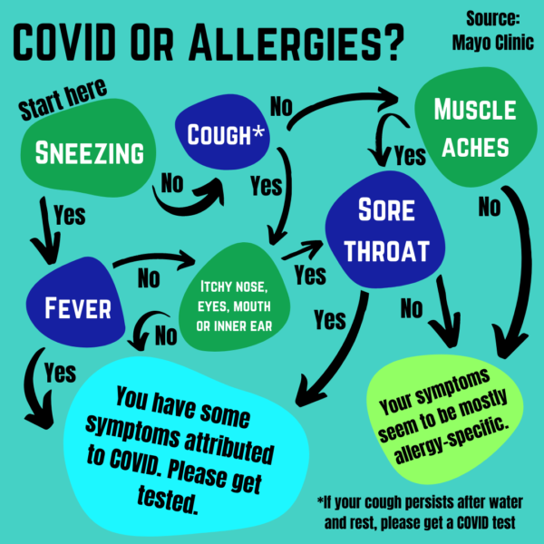 COVID versus allergies flowchart