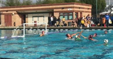 water polo game
