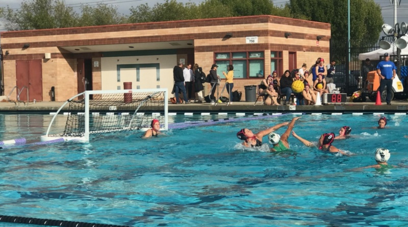 water polo game