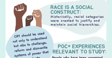 Critical Race Theory Infographic