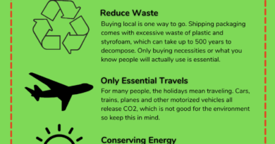 eco-friendly holiday tips