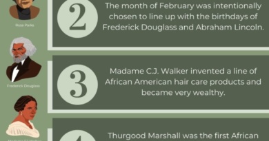 Black history fact inforgraphic