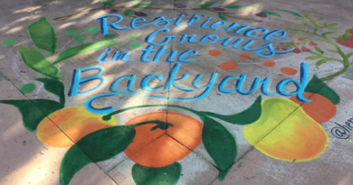 A painted mural reading "resilience grows in the backyard"