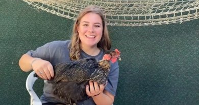 Davis High alumna Kaitlyn Eisele holding up a chicken