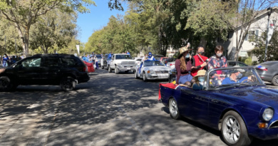 cars part of hoco parade